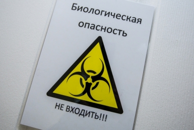 Вирус Антон Балашов, ИА PrimaMedia