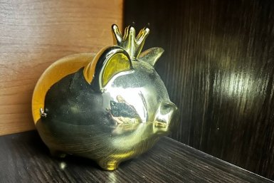 копилка ИА ChitaMedia