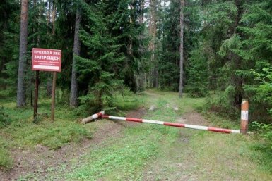 Запрет на посещение леса тг-канал Алексея Закурдаева