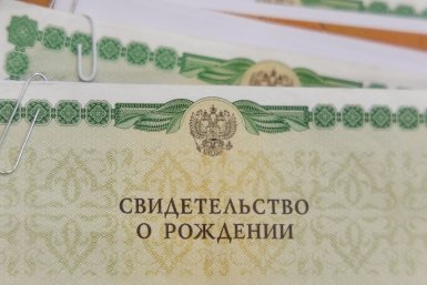 Свидетельство о рождении Евгений  Кулешов, ИА PrimaMedia