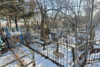 Кладбище АвиаПоиск