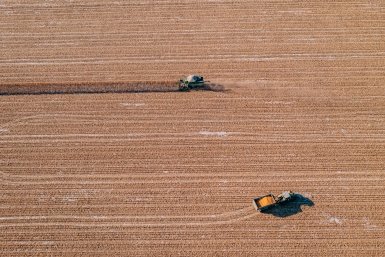 зерно Мария Смитюк, ИА PrimaMedia.ru