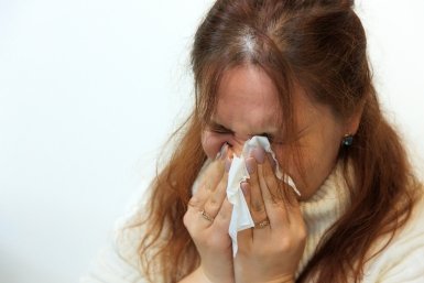 Чихание Яна Гайдук, ИА PrimaMedia.ru