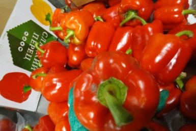 Заражённые овощи телеграм-канал (18+) Россельхознадзора края