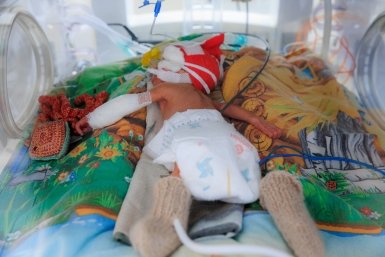 Ребенок Евгений  Кулешов, ИА PrimaMedia