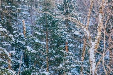 Зима Мария Смитюк, ИА PrimaMedia