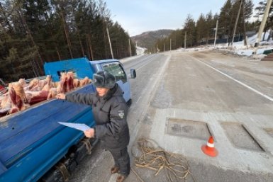 Перевозка мяса Управления Россельхознадзора по Забайкалью