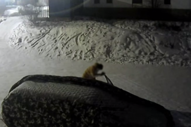 Кража Кадр из видео