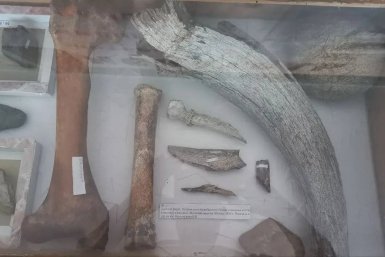 Школьный музей тг-канал (18+) Вячеслава Кулакова