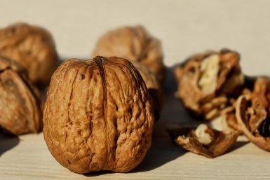 Тематическое фото Разработано с помощью pxhere.com