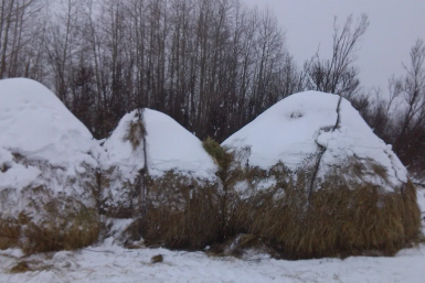 Сено полиция Забайкалья