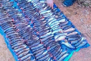 Рыба тг-канал (18+) Восточно-Сибирской транспортной прокуратуры