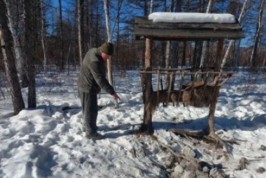 Зимний учёт пресс-службы Минприроды Забайкалья