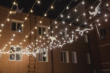 Гирлянда Мария Бородина, ИА PrimaMedia