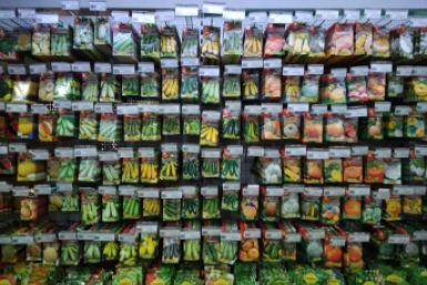 Семена телеграм-канал Управления Россельхознадзора Забайкалья