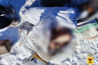 Останки лошадей тг-канал (18+) полиции Забайкалья