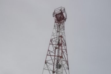 Тематическое фото ПАО &quotМТС&quot