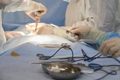 хирургия Дмитрий Осипчук, ИА PrimaMedia