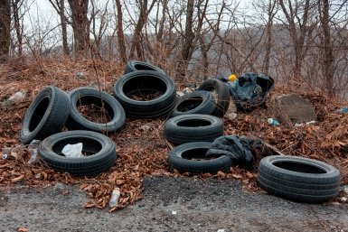 Мусор Илья Аверьянов, ИА PrimaMedia.ru