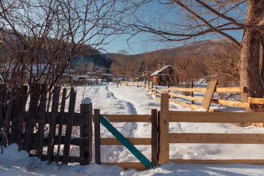 Зима Илья Аверьянов, ИА PrimaMedia