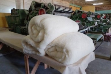 Шерсть пресс-службы министерства сельского хозяйства Забайкалья