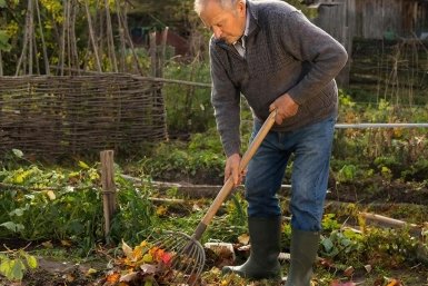 Тематическое изображение ГигаЧат (18+)