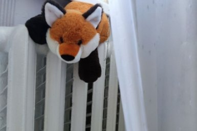 батарея Елена Гиневская, ИА Stavropol.Media