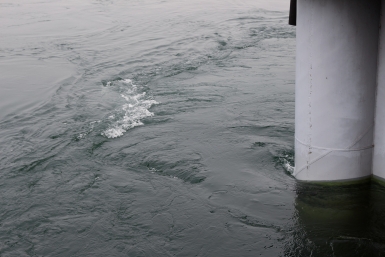 Течение Наталия Раткевич, ИА IrkutskMedia