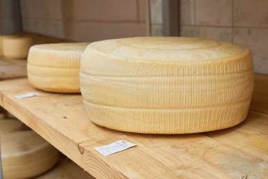 Сыр Дмитрий Осипчук, ИА PrimaMedia