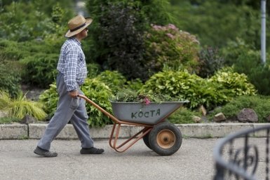 Дачник Александр Хитров, ИА PrimaMedia