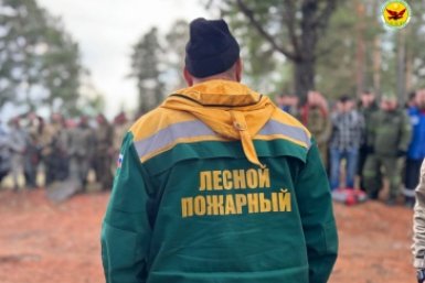 Лесной пожарный тг-канал Минприроды Забайкальского края