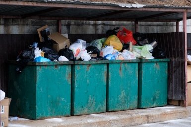 мусор Евгений  Кулешов, ИА PrimaMedia.ru