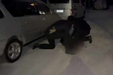 Задержание злоумышленника Кадр из видео