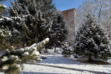 погода Марина Кудрявцева, ИА UssurMedia.