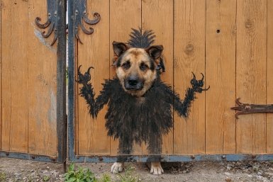 Тематическая иллюстрация ИА PrimaMedia