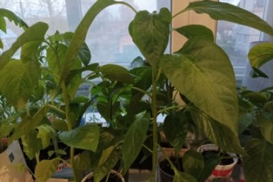 Тематическое фото Фото автора