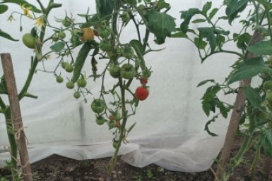 Тематическое фото Фото автора