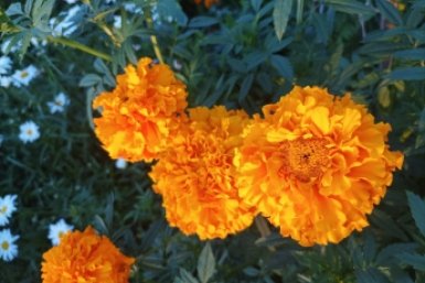 Тематическое фото Фото автора