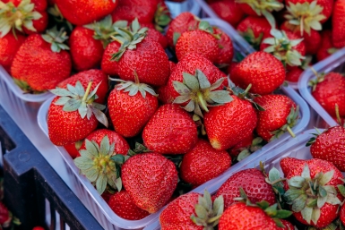 ягода Евгений  Кулешов, ИА PrimaMedia