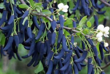 Тематическое фото Создано при помощи ИИ