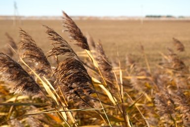 Ветер Евгений Овдеенко, ИА OmskMedia