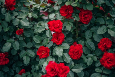 Тематическое фото Мария Смитюк, ИА PrimaMedia