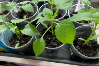 Тематическое фото Фото автора