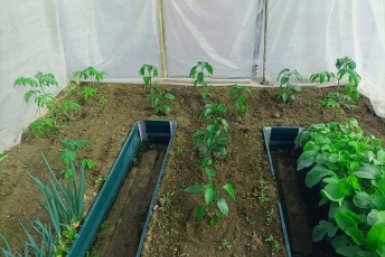 Тематическое фото Фото автора