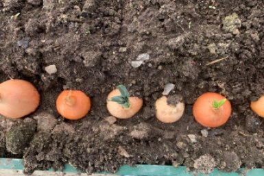 Тематическое фото Фото автора