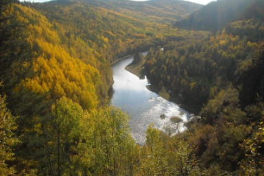 Тематическое фото ПАО &quotМТС&quot