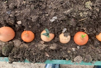 Тематическое фото Фото автора