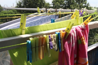 Тематическое фото ИА EAOMedia, Письменова Ксения