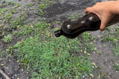 Смешайте это в пропорции 1:5 - и сорняки выгорят сами: чистые грядки без прополки до самой осени