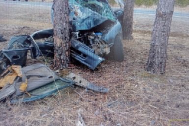 Новость дня